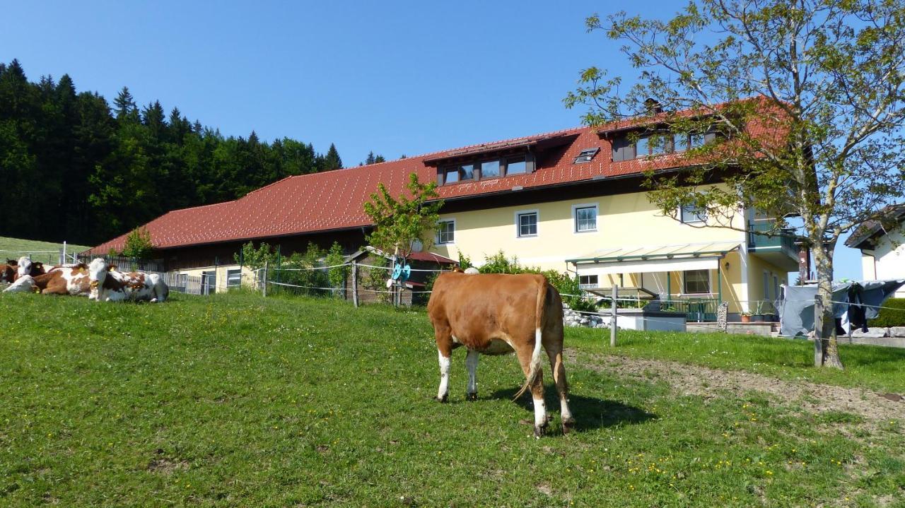 Ferienwohnung Steger 마트제 외부 사진